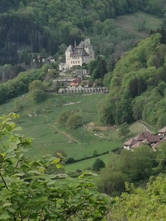 Maisonnette Talloires Eksteriør bilde